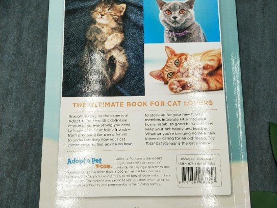  "The Ultimate Guide to Taking a Cat on a Cat Adventure"