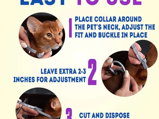  Effective Solutions for Cat Flea Itch Repellent: Keep Your Feline Friends Comfortable and Happy