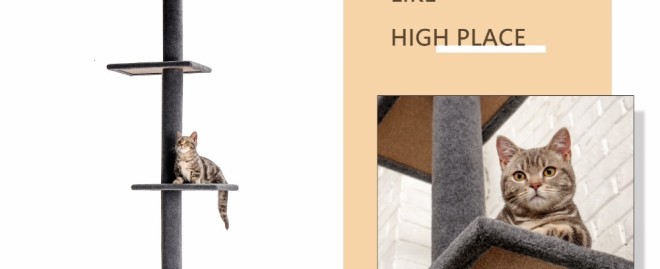  Discover the Ultimate Comfort and Fun with Our 48 Inch Cat Tree for Your Feline Friend